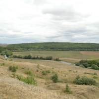 Вид на Мисайловский лес со стороны Медведево_слева Алексеевка_2010г