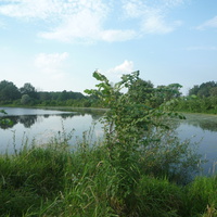 Озеро Большой Колтак
