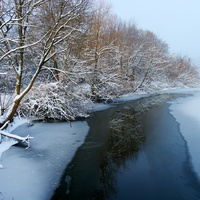 р.Гусак