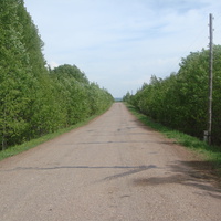 Дорога в деревню Большуха
