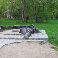Памятник тополю-гиганту