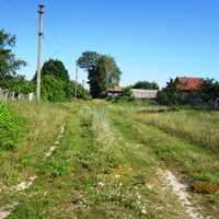 матросовка