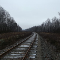 Железная дорога Кривандино – Рязановка