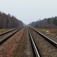 Место бывшего переезда 159км, перегон Ельск - Словечно