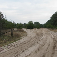 Дорога в деревню Некрашевка