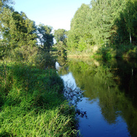 река Жерев в  Игнатполе
