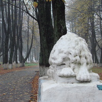 Лев в городском парке