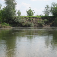 Андриановка река Ворона Сваи водяной мельницы