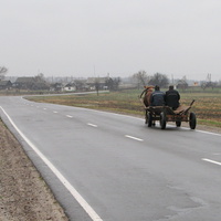 Дорога в деревню со стороны д. Добрынь