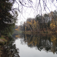 Лесной Загорьевский пруд