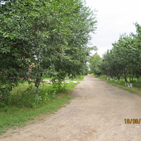 Улица в посёлке Первомайское