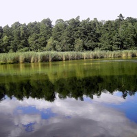 Кайзерслаутерн,озеро Фогельвоог