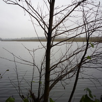 Озеро на реке Северка