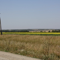 Вид с дороги Целинное-Шалап