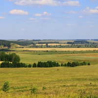 Ванышевские поля