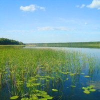 Озеро Домашнее