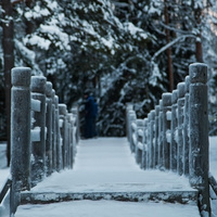 Мостик в музее