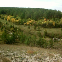 Ранняя осень в Куликовском лесу