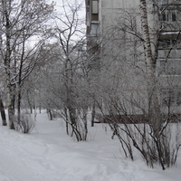 Зимой на Ереванской