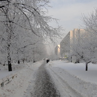 Бирюлевская улица