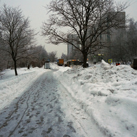 Михневский проед