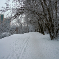 Аллея у пруда