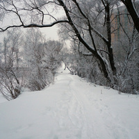 Старая прудовая платина