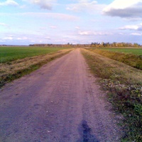 Дорога на шоссе Новый Погост - Шарковщина