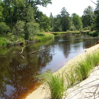 Ствига-лесная река