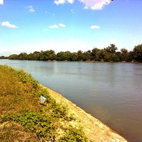 Река Протока