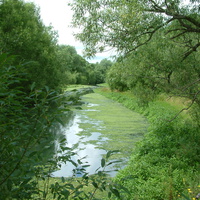 местная река Ира
