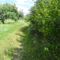 Сад Сякерычы