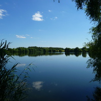 Малая Грибановка (Кисельный пруд)