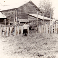 Отчий дом в Пожарах со двора 1980г.