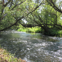 Река в д.Раевка
