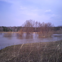 река инза весной