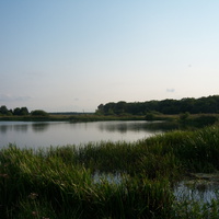 Озеро (песчаный карьер) в д. Зуевка Солнцевского района. Июнь 2012 г.