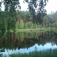 Озеро "Покойное" в 4 км. от села в лесу. Одно из любимых и красивых мест для отдыха.