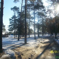 Кисловский лес