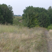 Лес Полянский