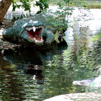 Скульптура "Крокодил" на островке бассейна в парке