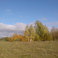 осінь в Пединківському лісі