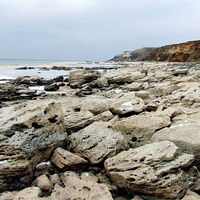 Декабрь на обрыве Цимлянского моря у станицы Хорошевской