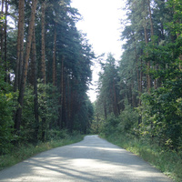 Дорога в Головлино