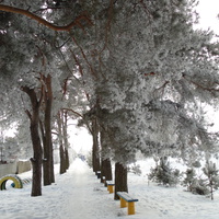 зима в Комсомольском парке