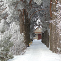 зима в Комсомольском парке