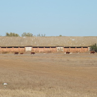 Зерноскалады недалеко от хутора