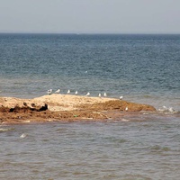 Цимлянское море у Жуковки