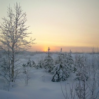 Западная Сибирь зимой. Морозный закат над болотом.