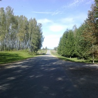 Дорога ведущая в Богушевск